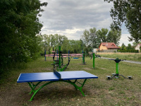 Veřejné cvičení s trenérem