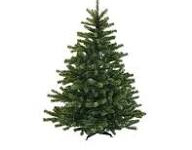 Co s vánočním stromečkem?