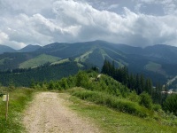 IMG-20240710-WA0008