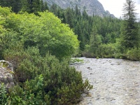 IMG-20240710-WA0009