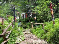 IMG-20240710-WA0015