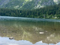 IMG-20240710-WA0017