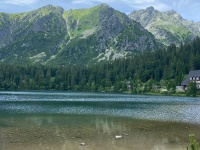 IMG-20240710-WA0022