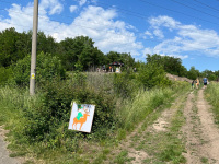 (3)