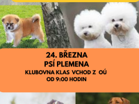 PROGRAM NA MĚSÍC LEDEN (2)