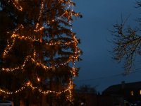 Setkání u vánočního stromu v Nádražní čtvrti