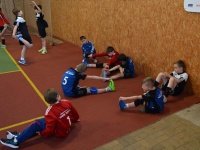 Telnické medaile na Bobo cupu 2018