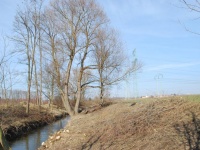 foto_6332
