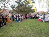 foto_33463