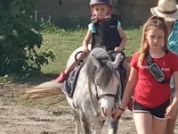 Putování za zvířátky 2019