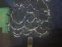 foto_39238
