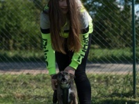 foto_39612