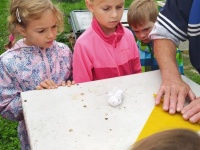 foto_41345
