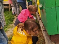 foto_41356