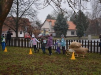 foto_42120