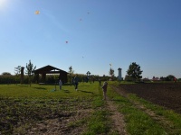 foto_42182
